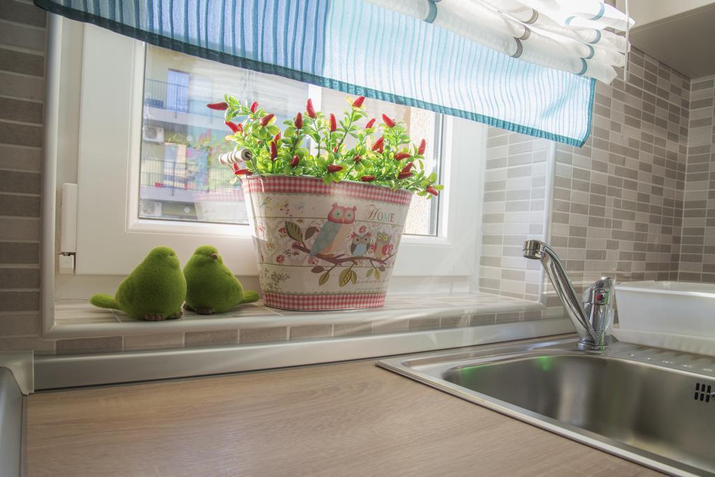 Apartment Cristian 2 ทิมิชัวรา ภายนอก รูปภาพ